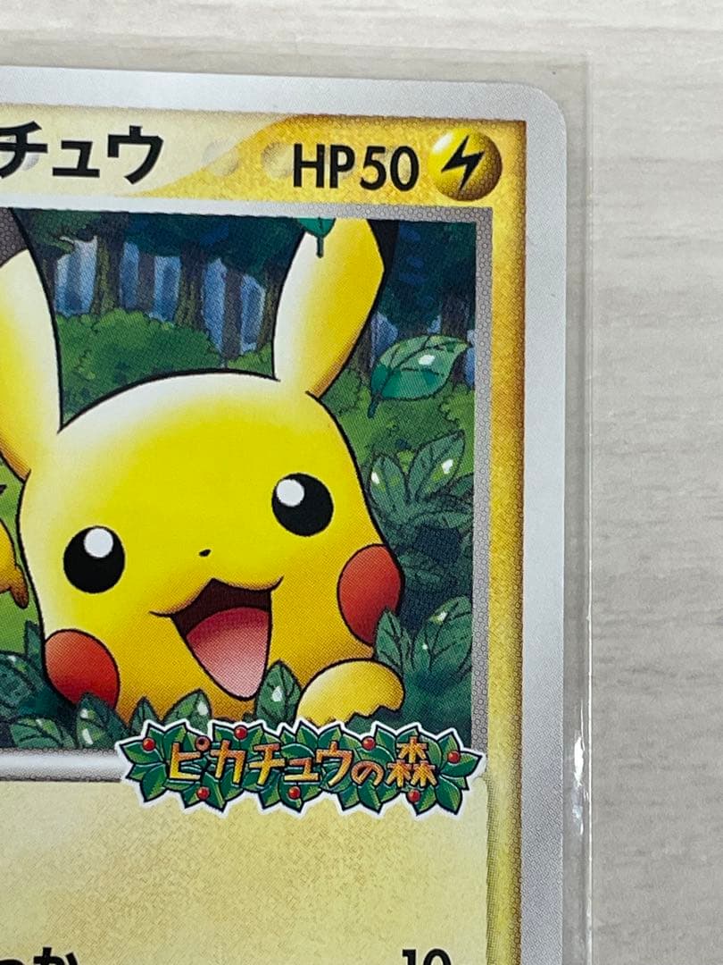 ポケパークのピカチュウ　ポケパークのアチャモ