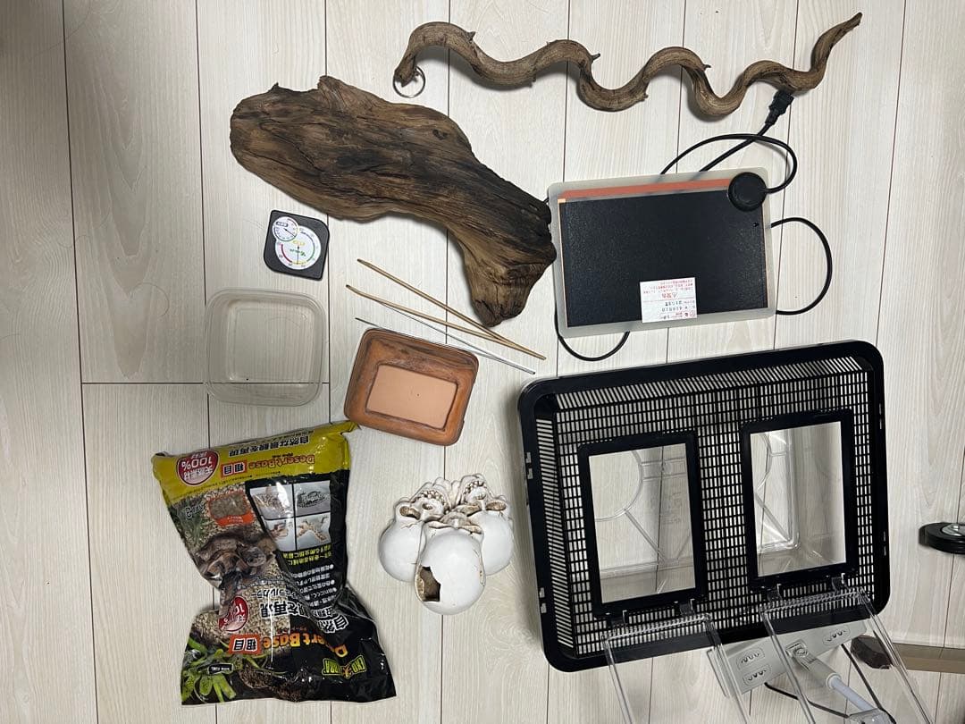 引き取り限定　グラステラリウム6030