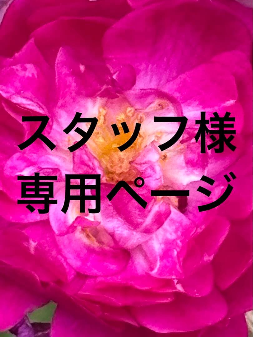 SONY α6400 シルバーモデルEマウント純正バッテリー２個