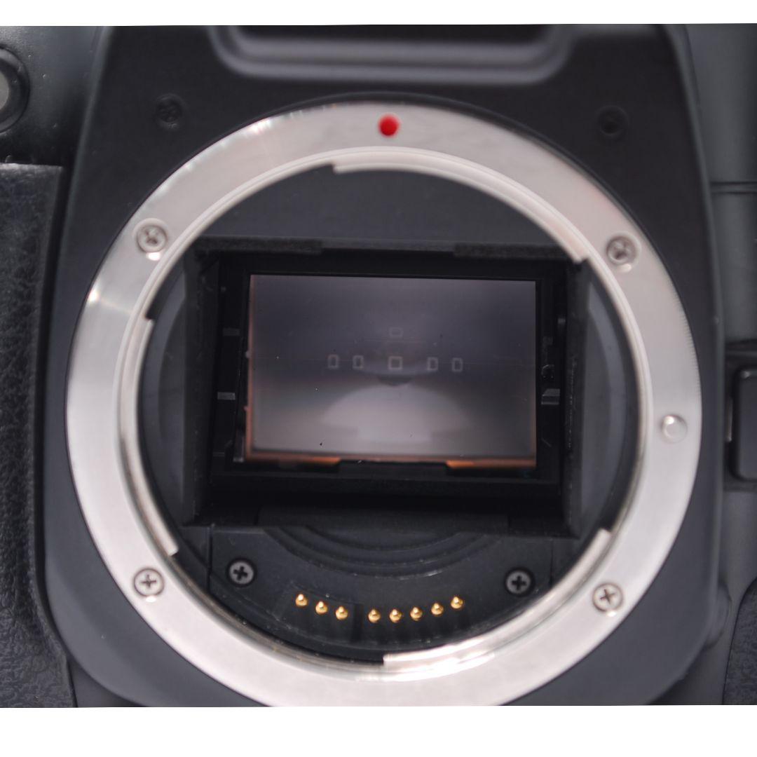 ⭐動作確認済み⭐【実用品】 キャノン Canon EOS 7 フィルム一眼レフ