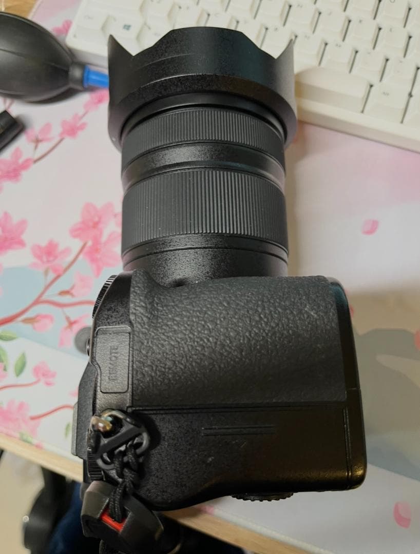 デジタルカメラ Panasonic DC-S5 24-105mm