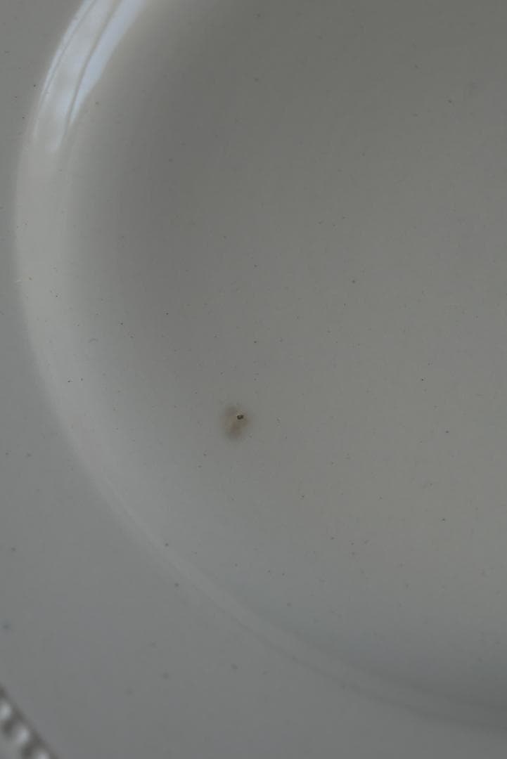 2枚組　サルグミンヌ　オクトゴナルプレート　ディナー皿　フランスアンティーク