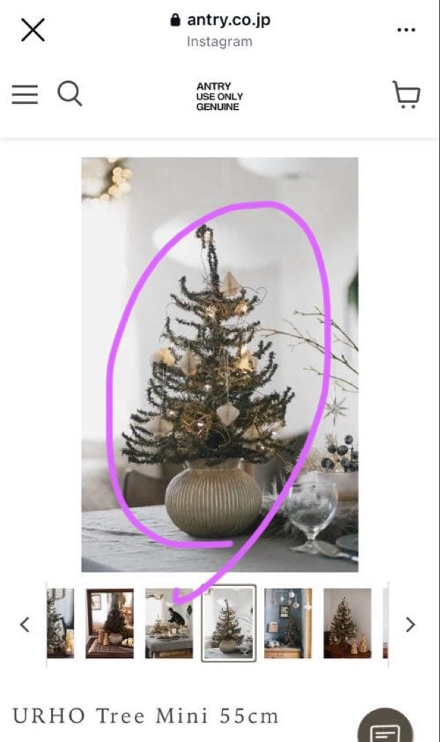 専用　アントリー　豪華クリスマスセット