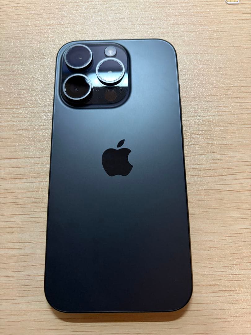 【無音シャッター】香港版 iPhone15 Pro 256GB