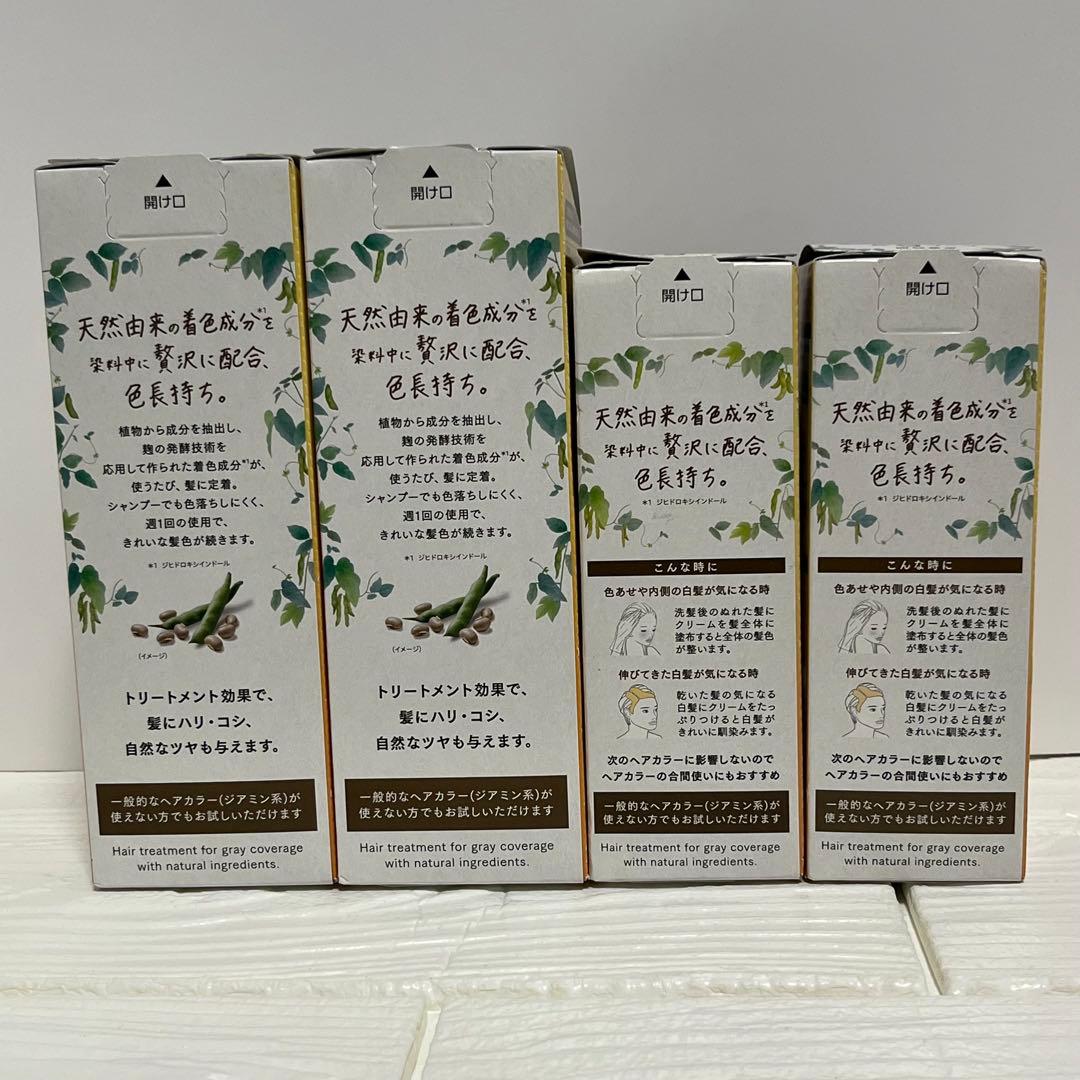 ブローネ　リライズ　ナチュリラ　白髪用カラートリートメント　ダークブラウン