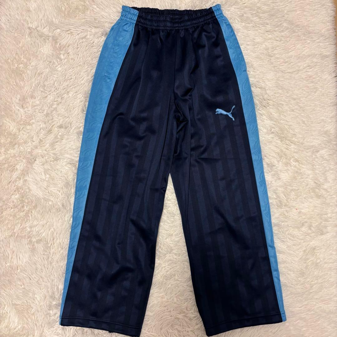 水色 希少色 日本製 PUMA プージャ ジャージ セットアップ あのちゃん