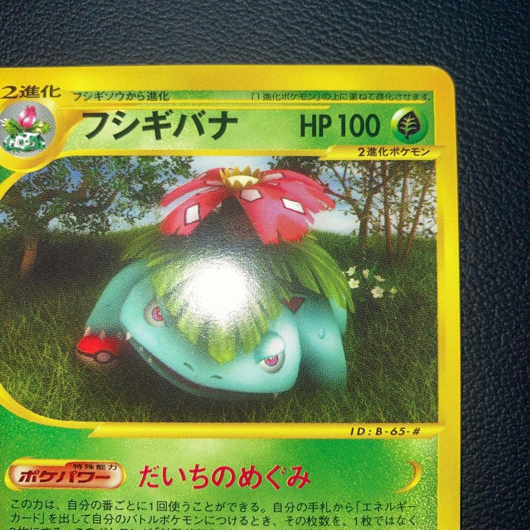 極美品　カードe フシギバナ　1ed だいちのめぐみ