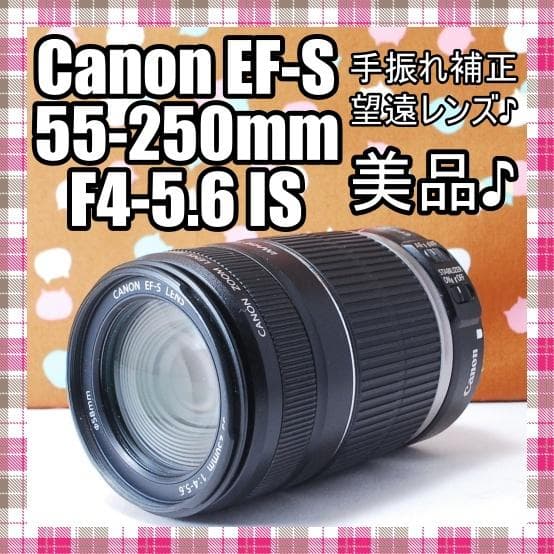 ✨美品✨大人気望遠✨Canon EF-S 55-250mm F4-5.6 IS