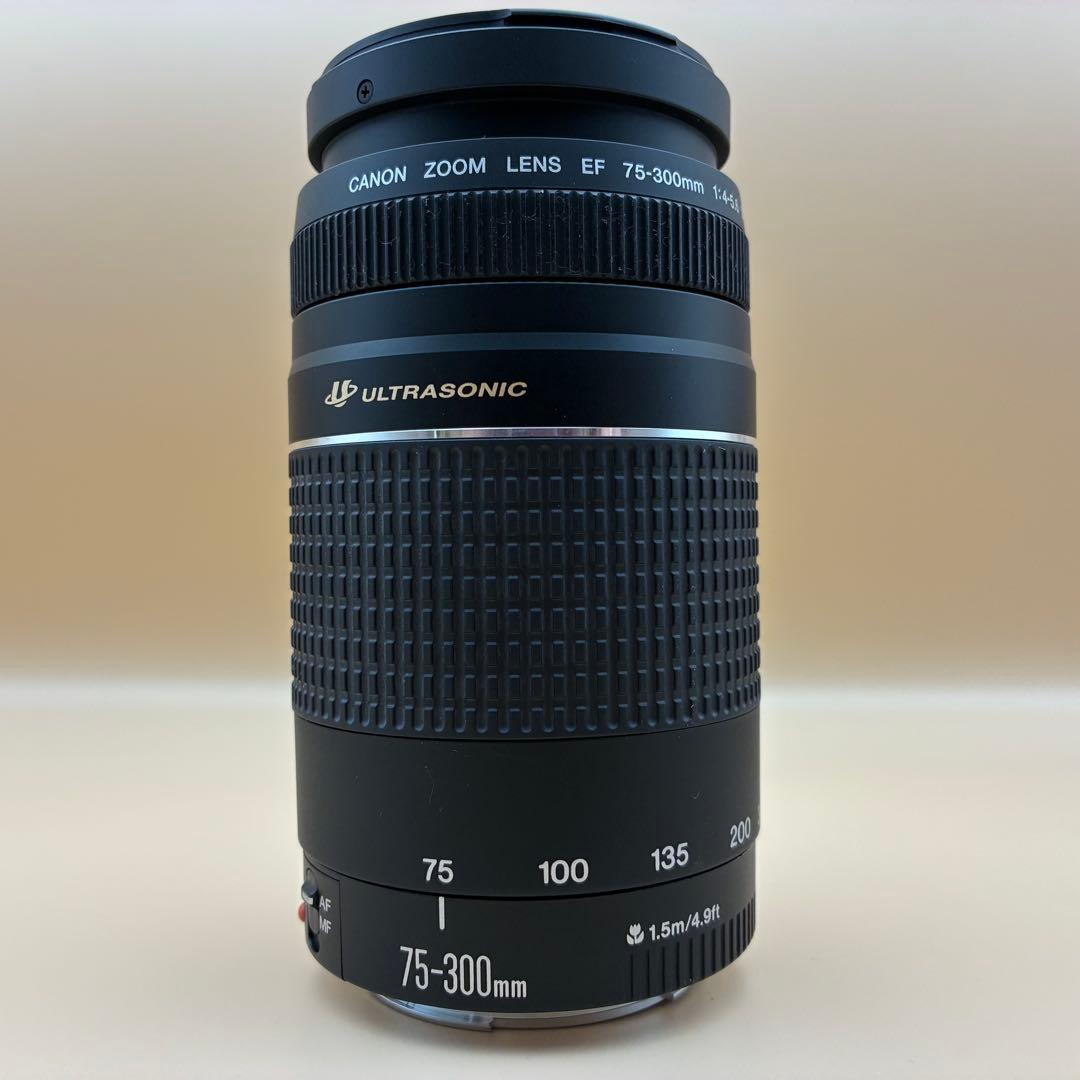 ★美品★ Canon EF 75-300mm iii USM 望遠 キヤノン