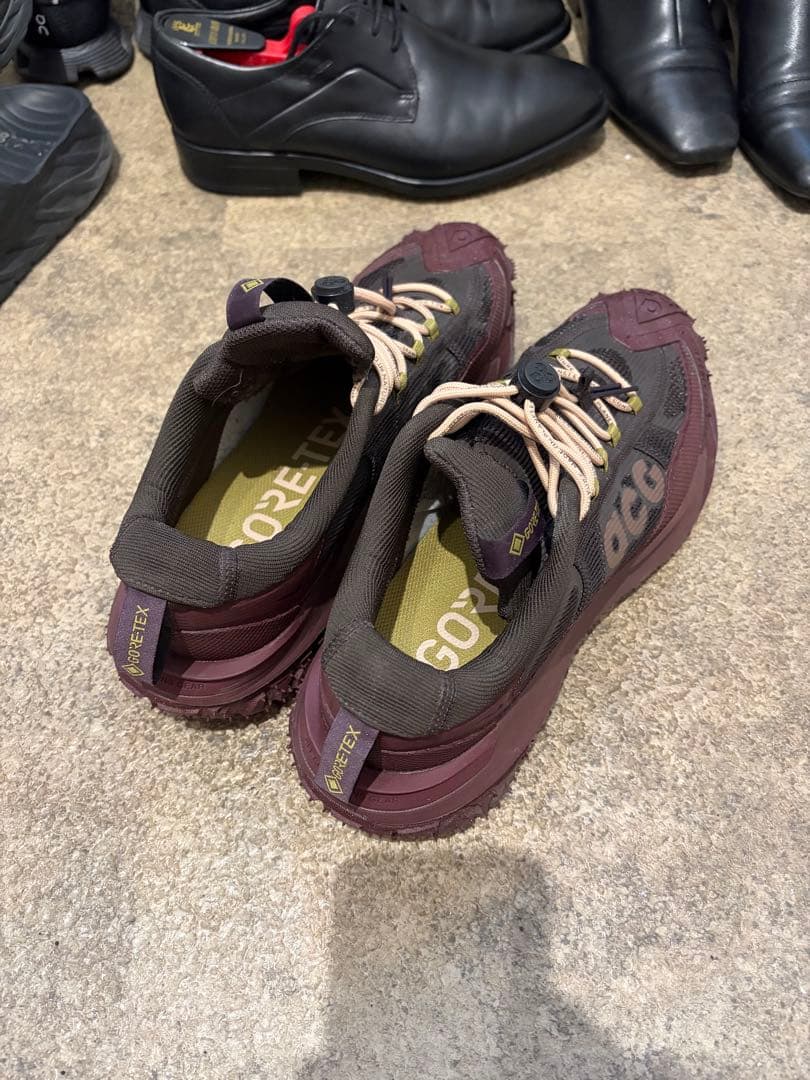 ナイキ ACG MOUNTAIN FLY 2 LOW GORE-TEX