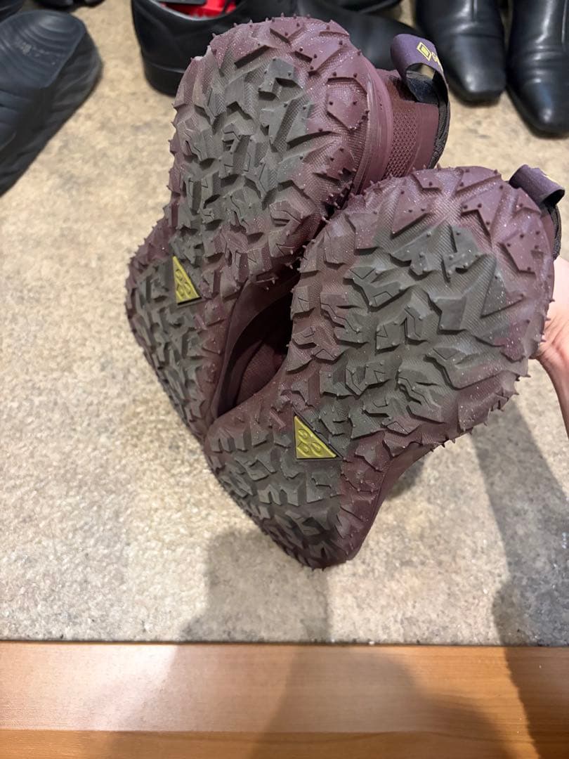 ナイキ ACG MOUNTAIN FLY 2 LOW GORE-TEX