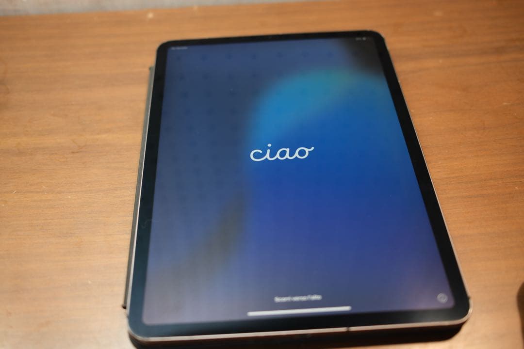 iPad Pro 11インチ 第1世代 256GB SIMフリー