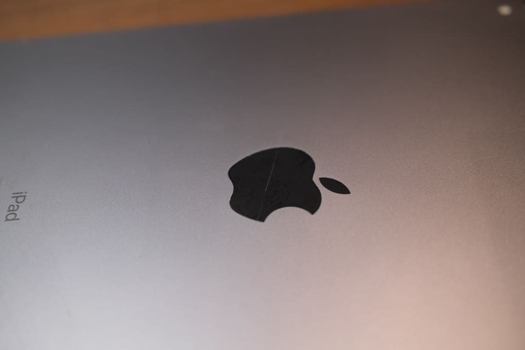 iPad Pro 11インチ 第1世代 256GB SIMフリー