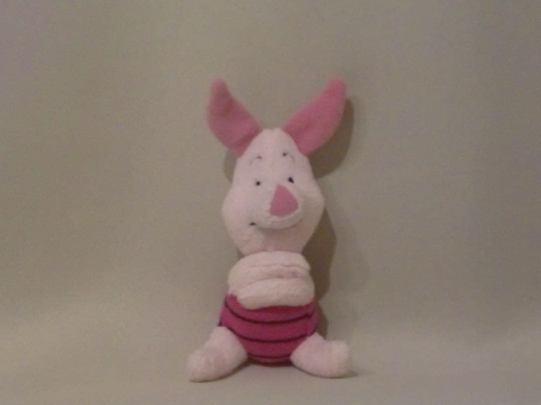 【✨美品✨】CASIO EXILM EX-Z450 コンデジ 平成レトロ