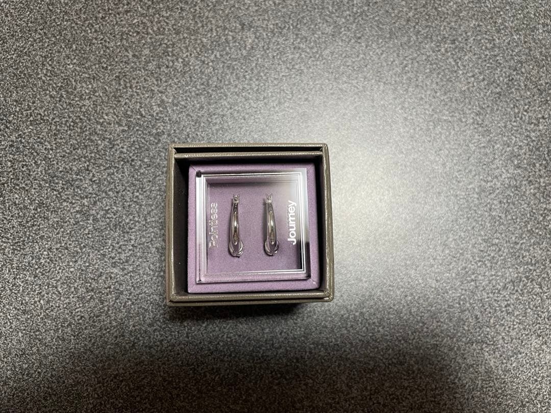 pointless journey ポイントレスジャーニー ピアス 常田大希