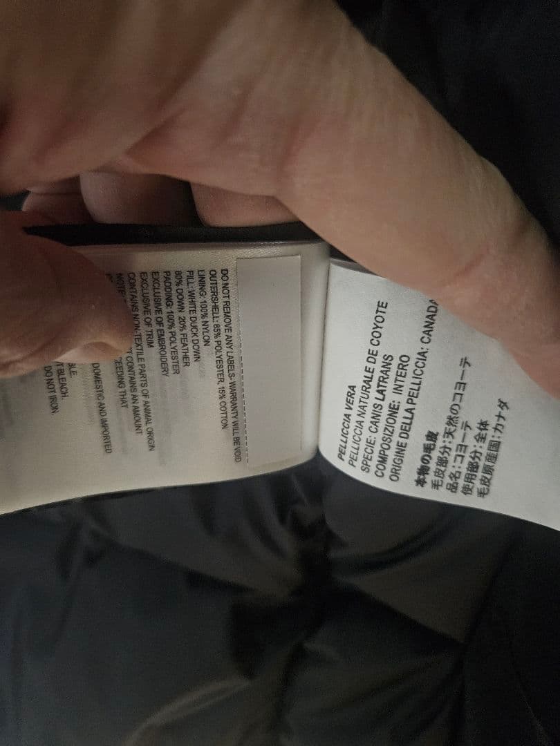 カナダグース　ジャスパー