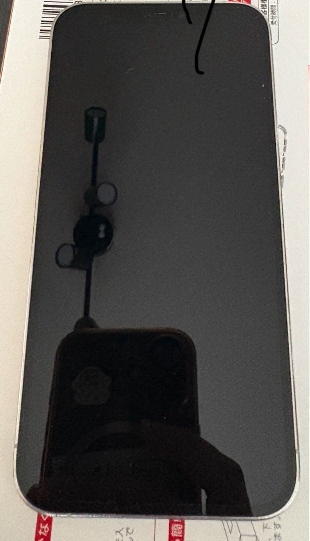 Apple iPhone 12Pro本体