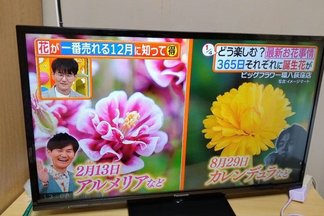 パナソニック VIERA ビエラ ハイビジョン液晶テレビ 32型