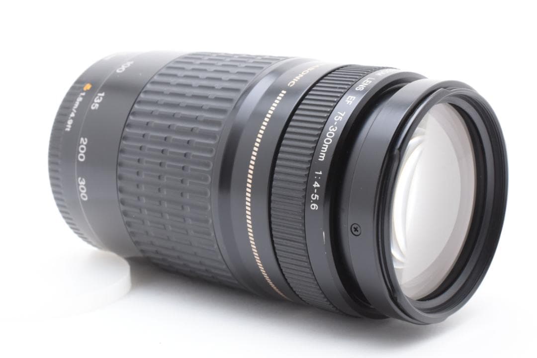 美品 Canon EF 75-300mm F4-5.6 USM 望遠ズームレンズ
