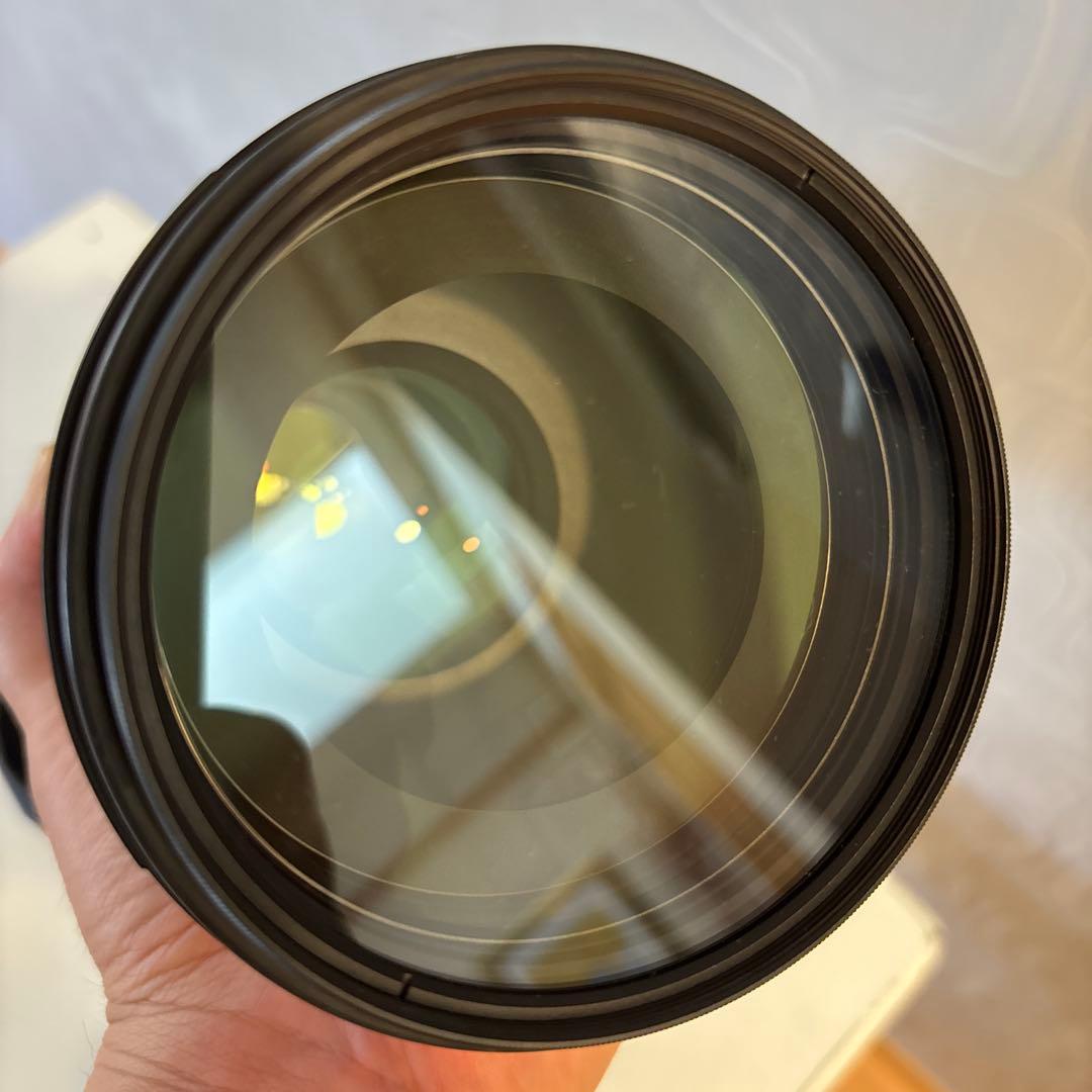 レンズ(ズーム) Nikon AF-S NIKKOR 200-500mmf/5.6E ED VR