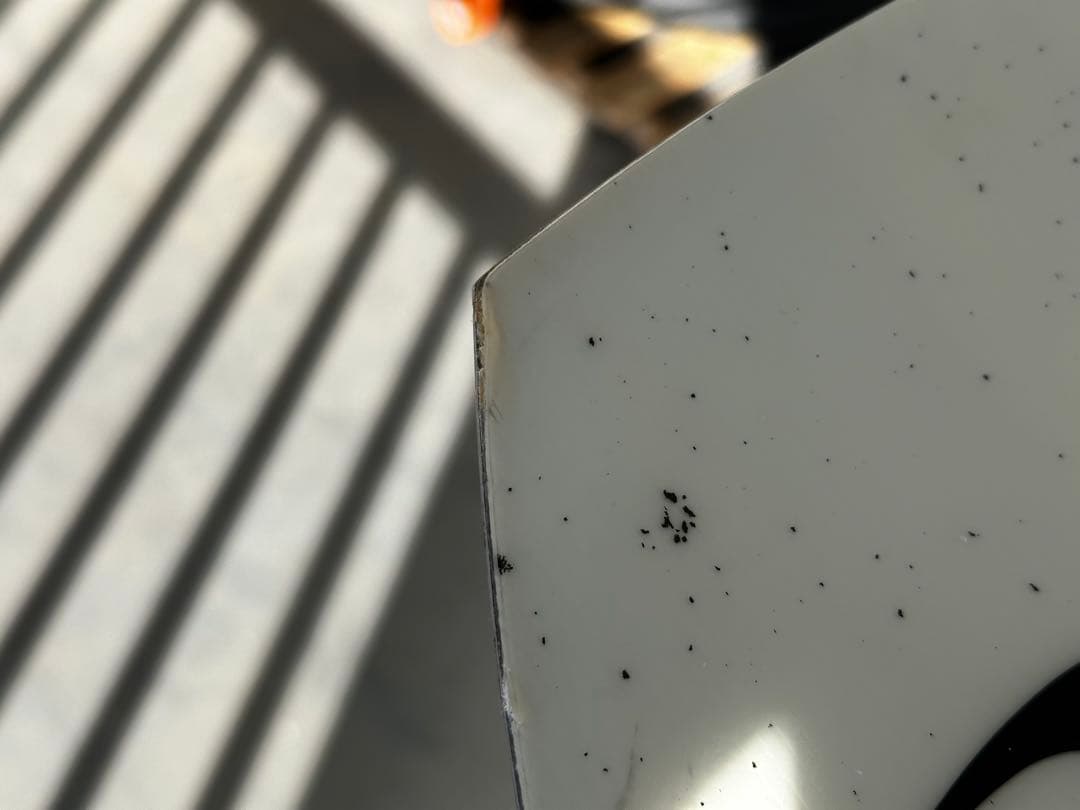 スノーボード RIDE WARPIG M (151)