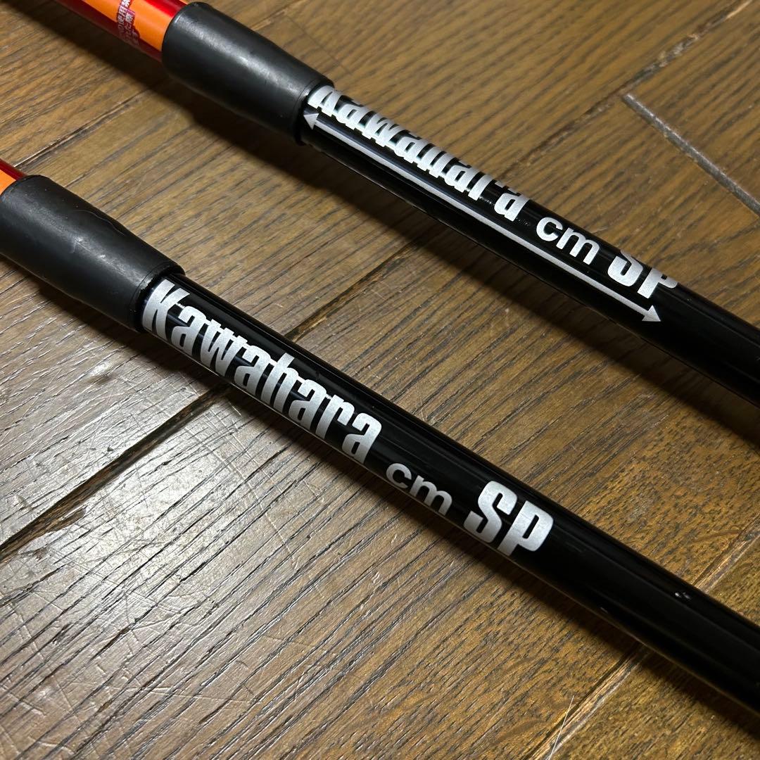 カワハラポール カワハラウォーキング 赤