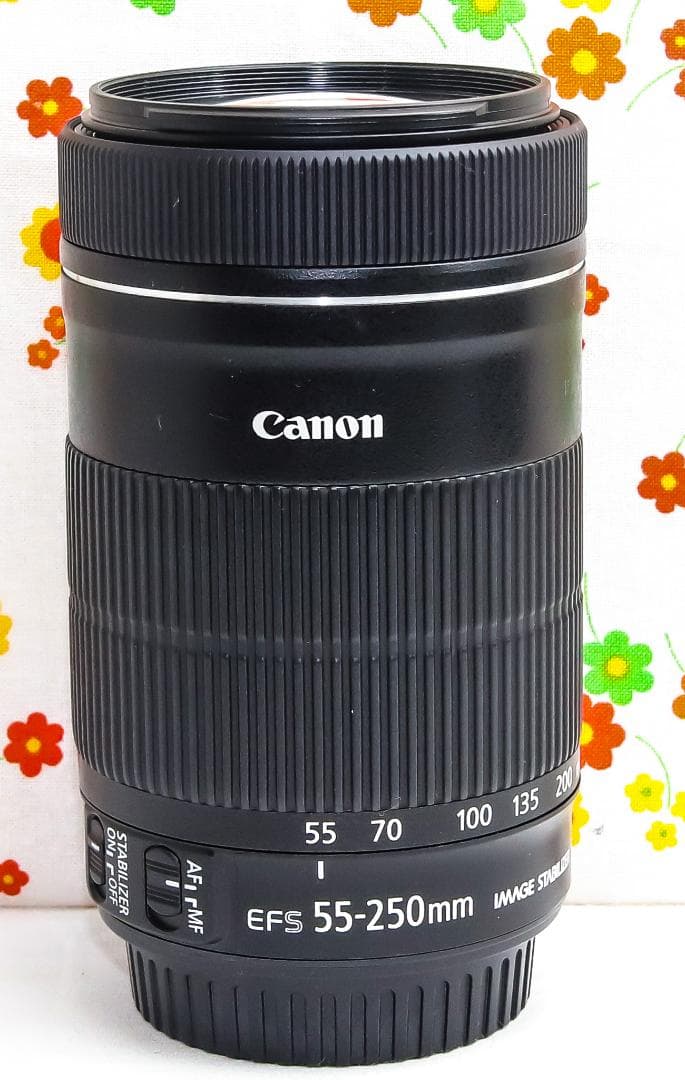美品☆Canon EF-S 55-250mm IS STM☆超静音望遠レンズ