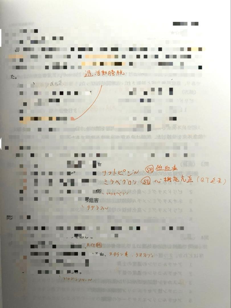 110回薬剤師国家試験　1年コース 白問 薬ゼミ