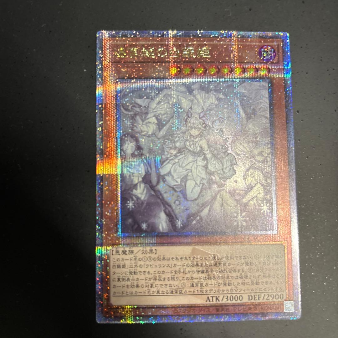 迷宮城の白銀姫　25th 絵違い