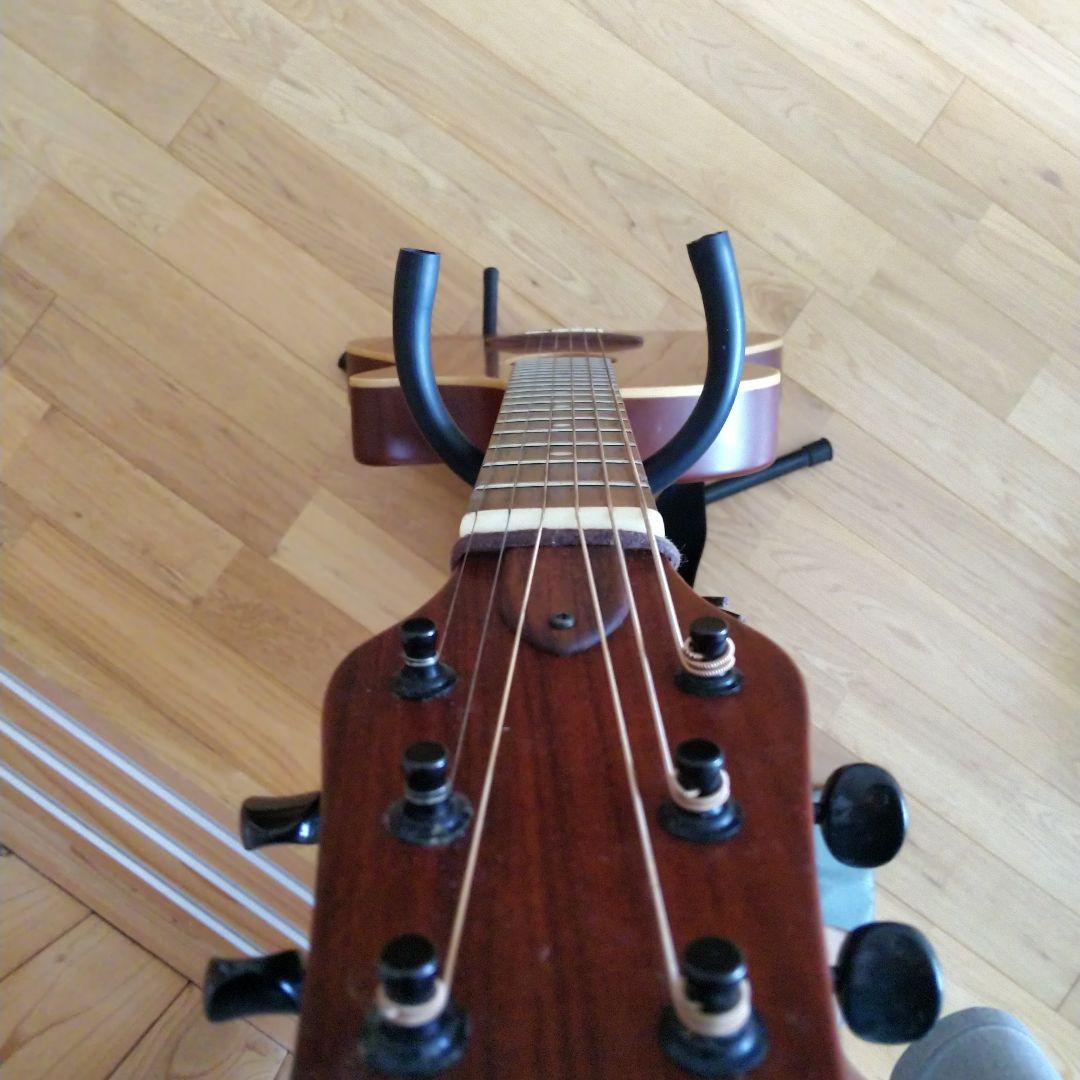 バンブーイン　C