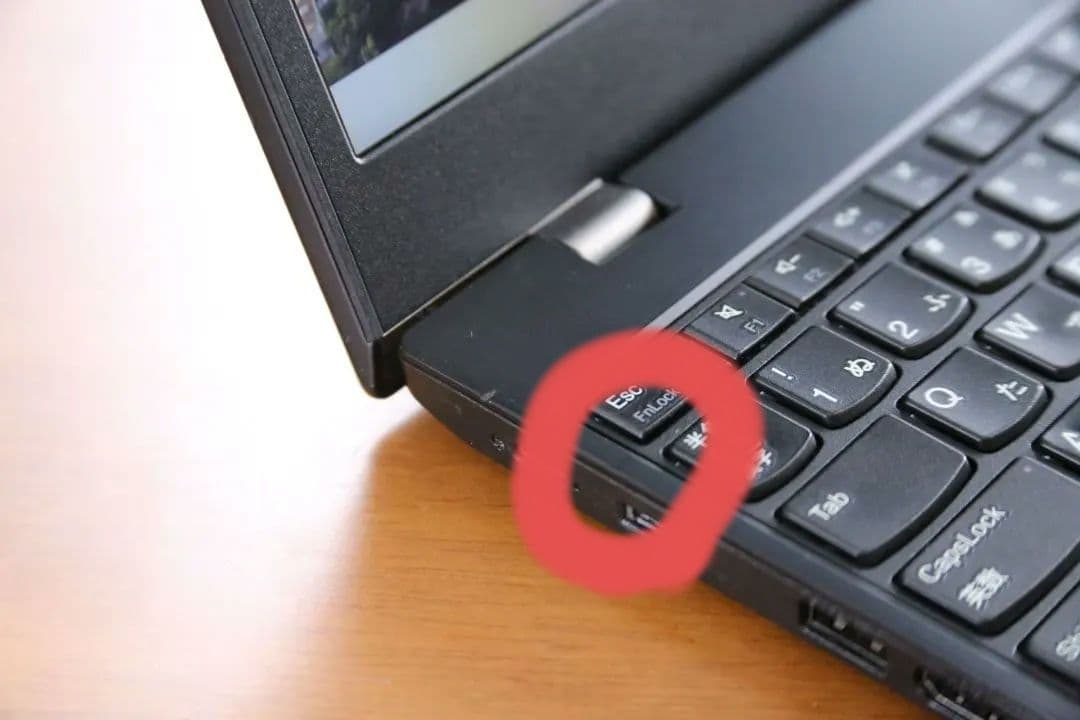 Windowsノート本体 Lenovo ThinkPad L15 Gen2 Core i5 256GB 2