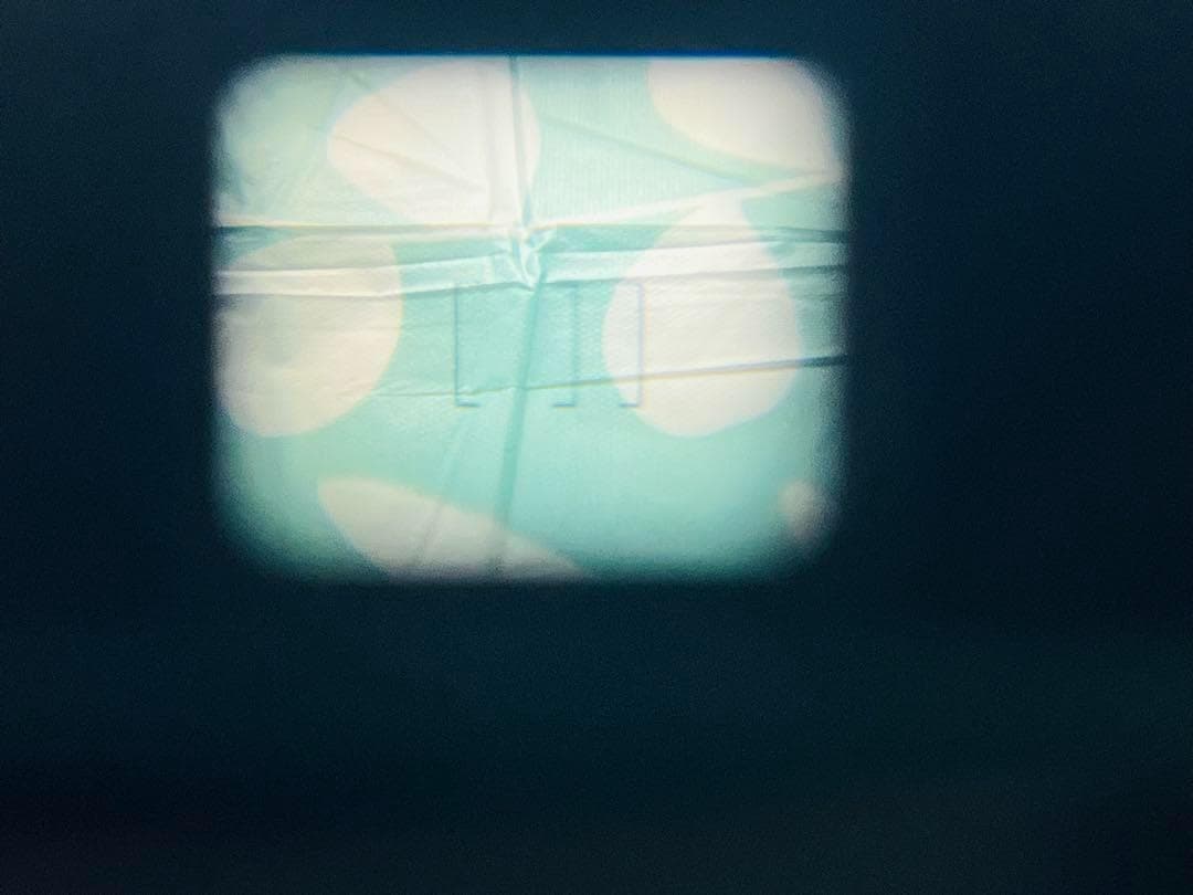 Canon Autoboy S II 動作確認済