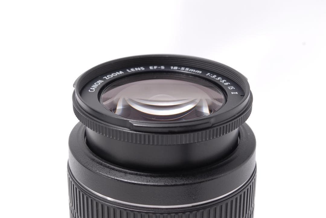 ショット数5500回✨Canon EOS Kiss X5 手ぶれ補正標準レンズ付