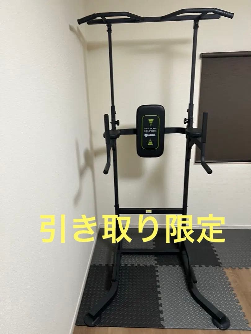 引き取り限定 HAIGE(ハイガー) ぶら下がり健康器 懸垂マシン プラップバー