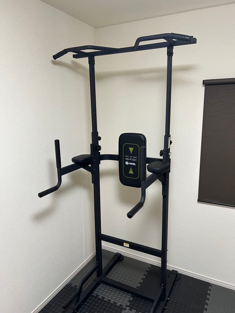 引き取り限定 HAIGE(ハイガー) ぶら下がり健康器 懸垂マシン プラップバー