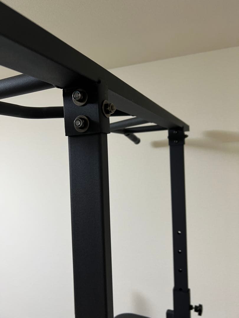 引き取り限定 HAIGE(ハイガー) ぶら下がり健康器 懸垂マシン プラップバー