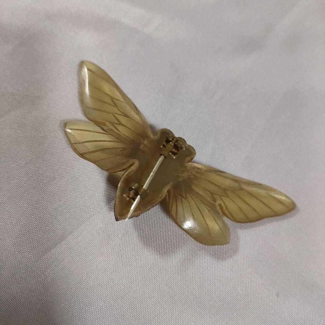 P5 超美品　OSTIA 　オスティア　せみ　イギリス　水牛の角　ブローチ