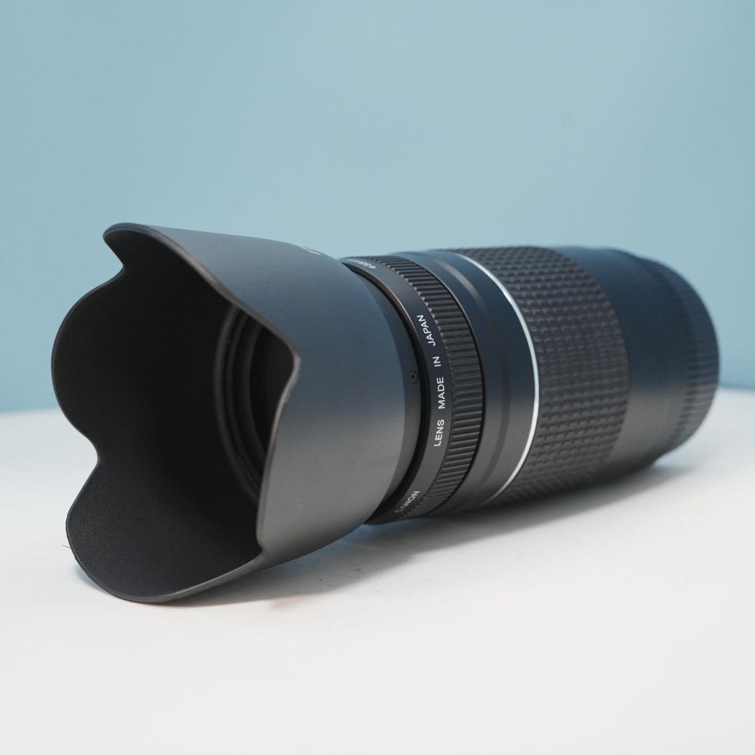 Canon純正 75-300mm 望遠レンズ 美品 a4690