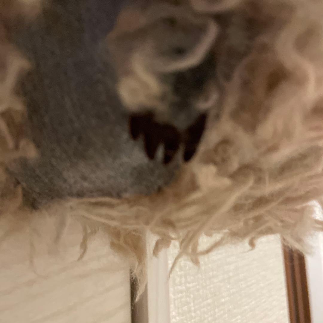 moorii beans バッグ¥22800→¥20600終日価格ミナペルホネン