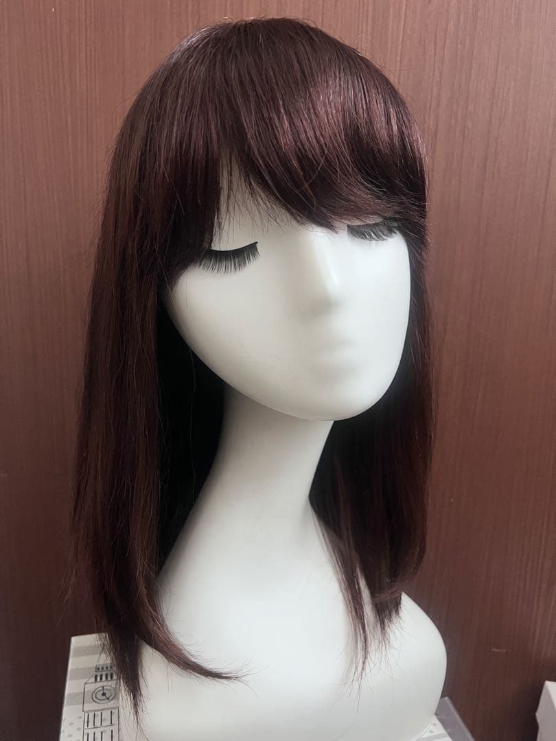 人毛100% ストレート サラサラ セミロング ウィッグ かつら　LV42