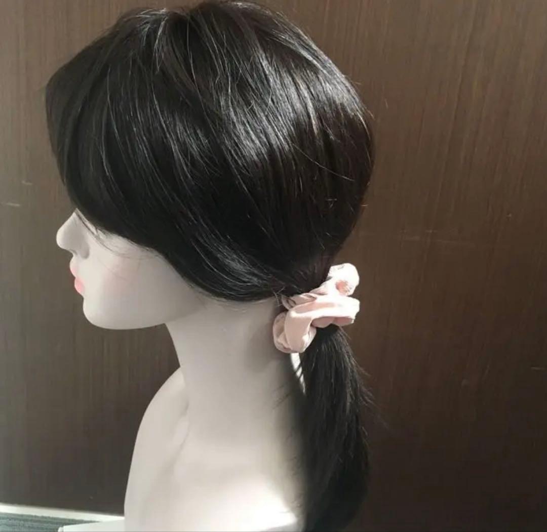 人毛100% ストレート サラサラ セミロング ウィッグ かつら　LV42