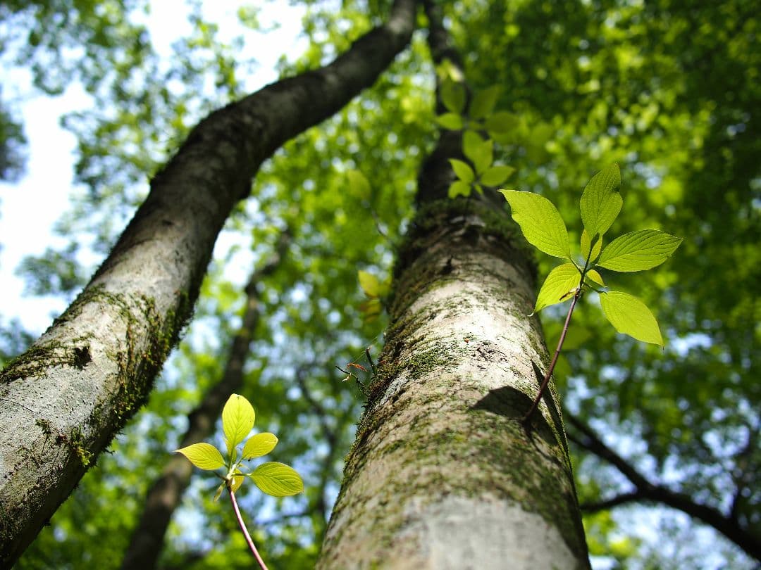 定価261589円！！OLYMPUS EP-5セット