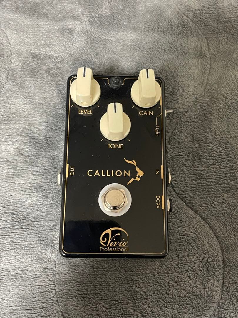 ギター vivie callion