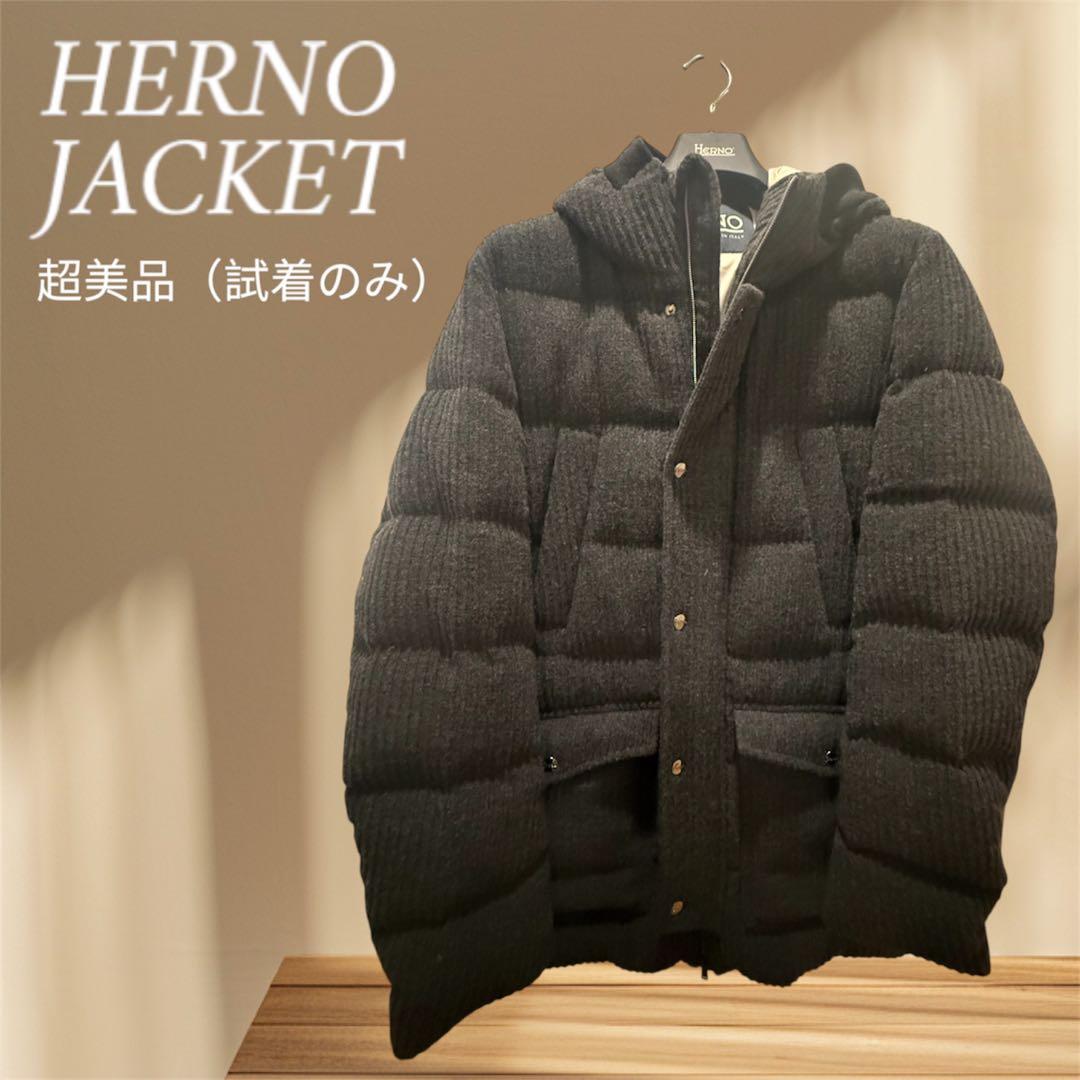 デイトナHerno ダウンジャケット