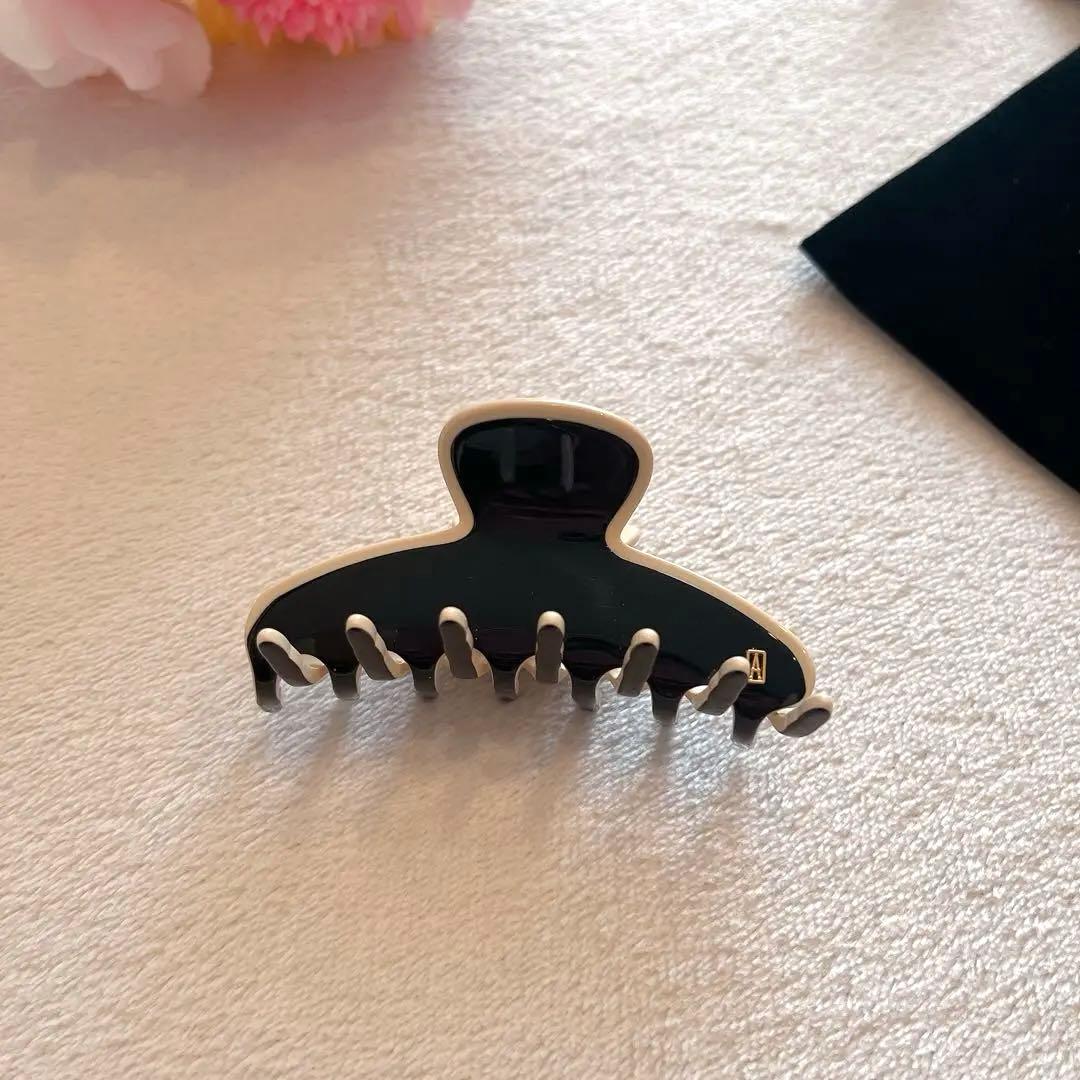 希少♦︎美品♦︎ALEXANDRE DE PARIS リズレ クリップ 人気 9㎝