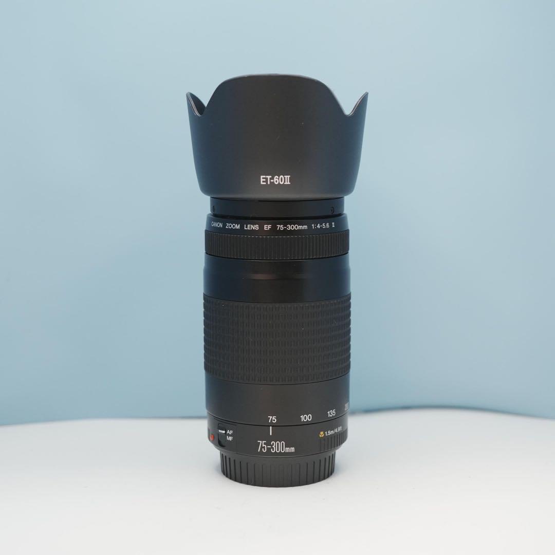 Canon純正75-300mm 望遠レンズ 美品 a4563