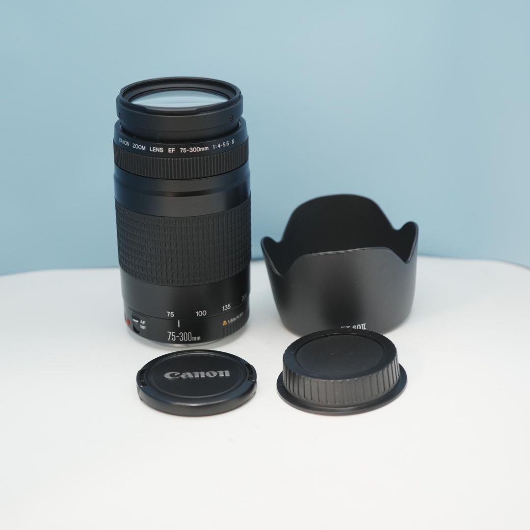 Canon純正75-300mm 望遠レンズ 美品 a4563