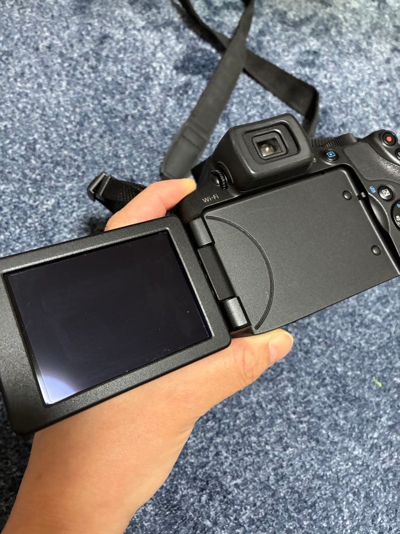 イソシギ(2/13まで) Canon Power Shot sx60hs