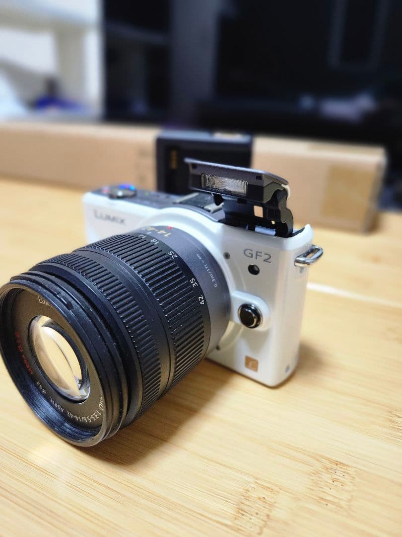 【✨人気カラー✨】Panasonic LUMIX DMC-GF2 デジタルカメラ
