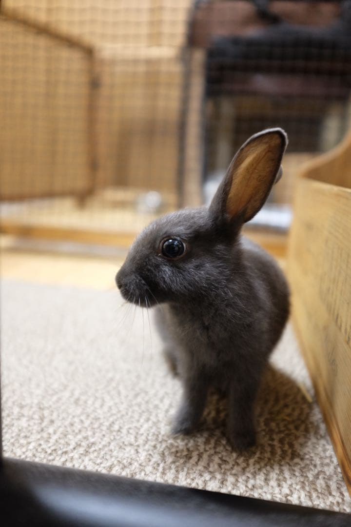 最終価格です。富士フィルム　X100S